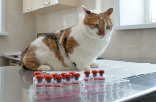 Russia Coronavirus Animals Vaccination