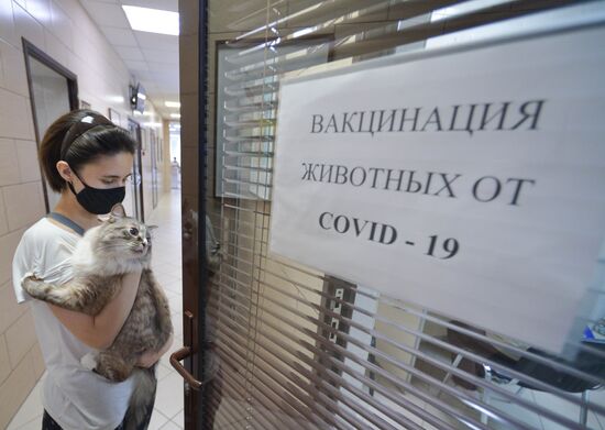 Russia Coronavirus Animals Vaccination