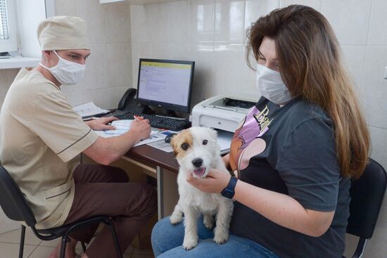 Russia Coronavirus Animals Vaccination