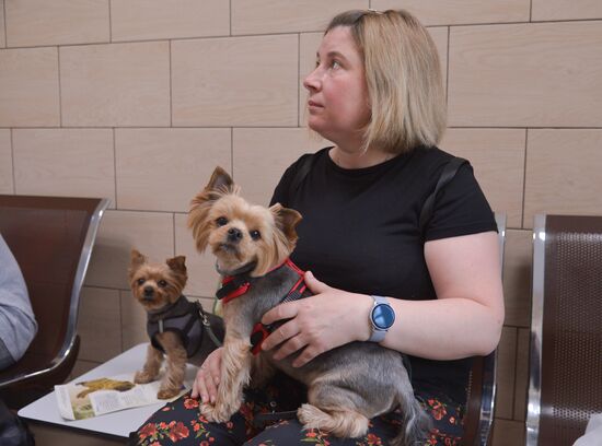Russia Coronavirus Animals Vaccination