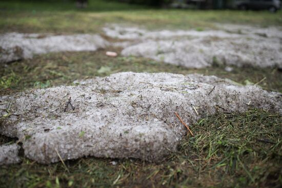 Russia Heavy Rains Aftermath