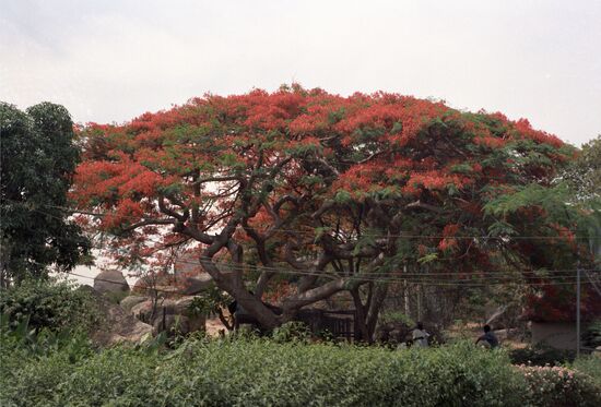 Nigeria