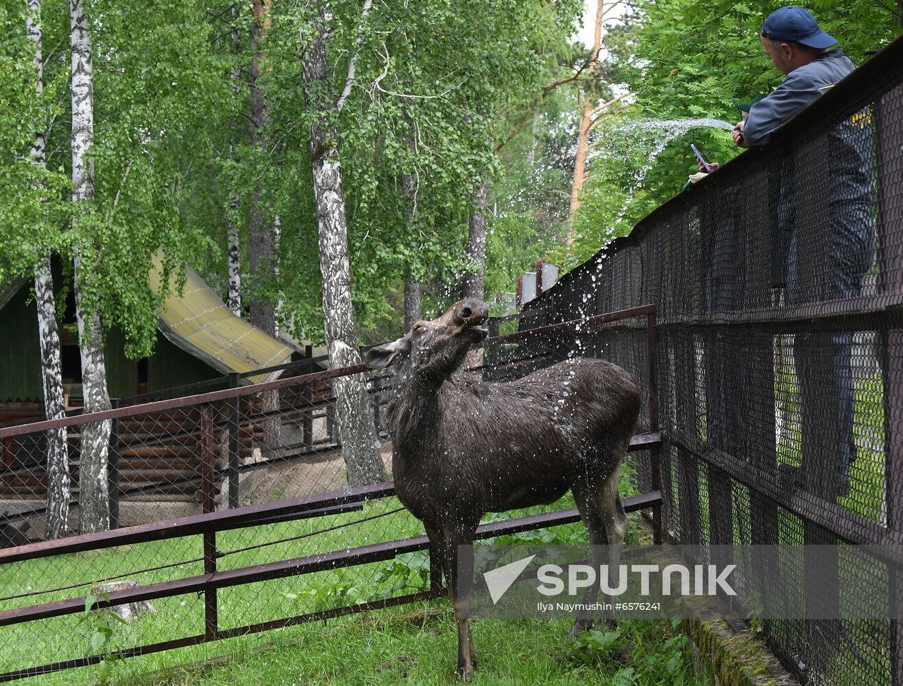 Russia Zoo