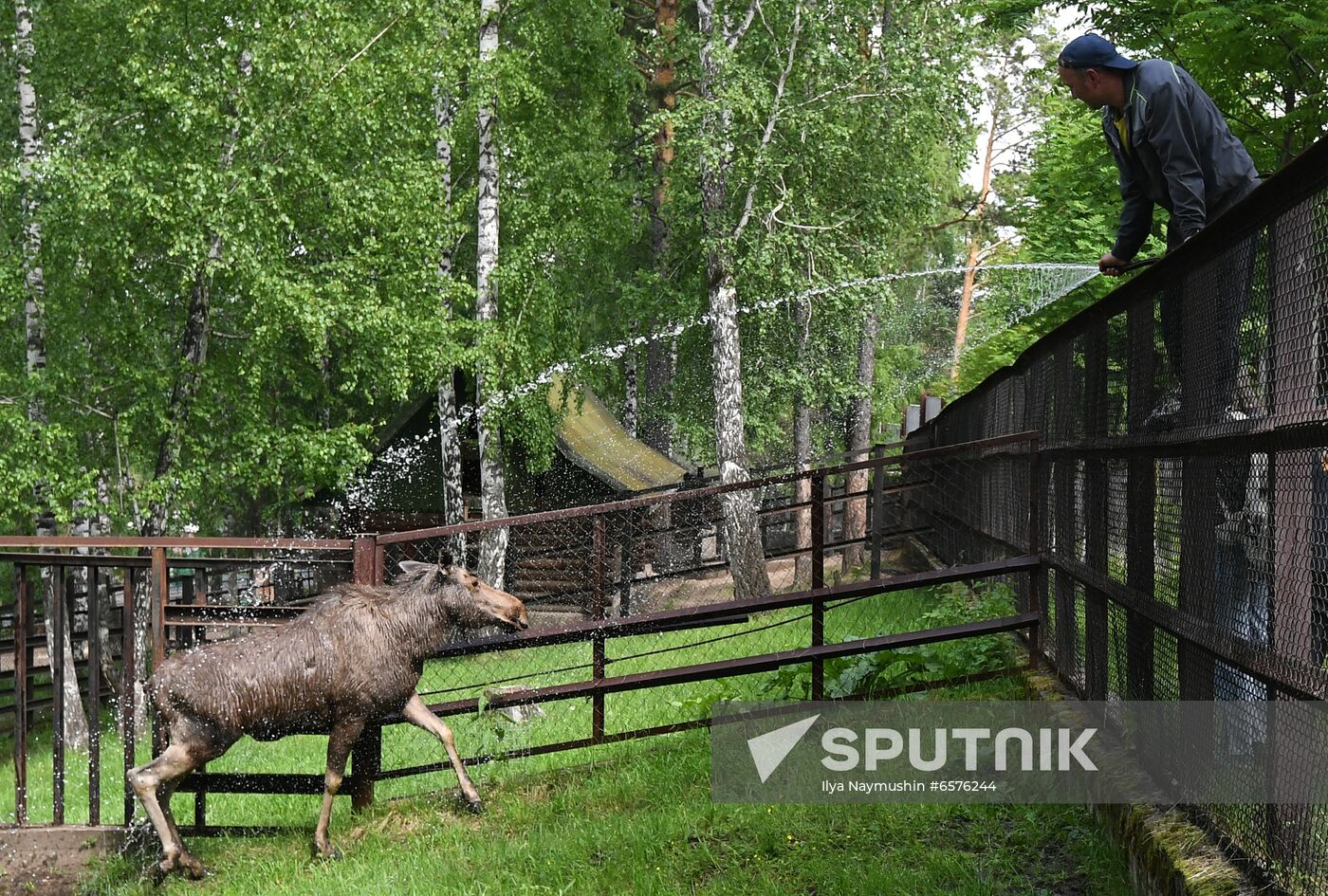 Russia Zoo