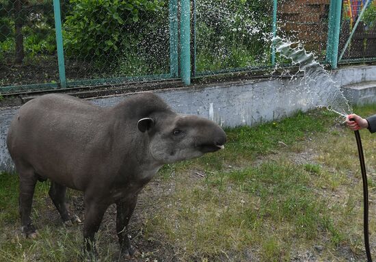Russia Zoo