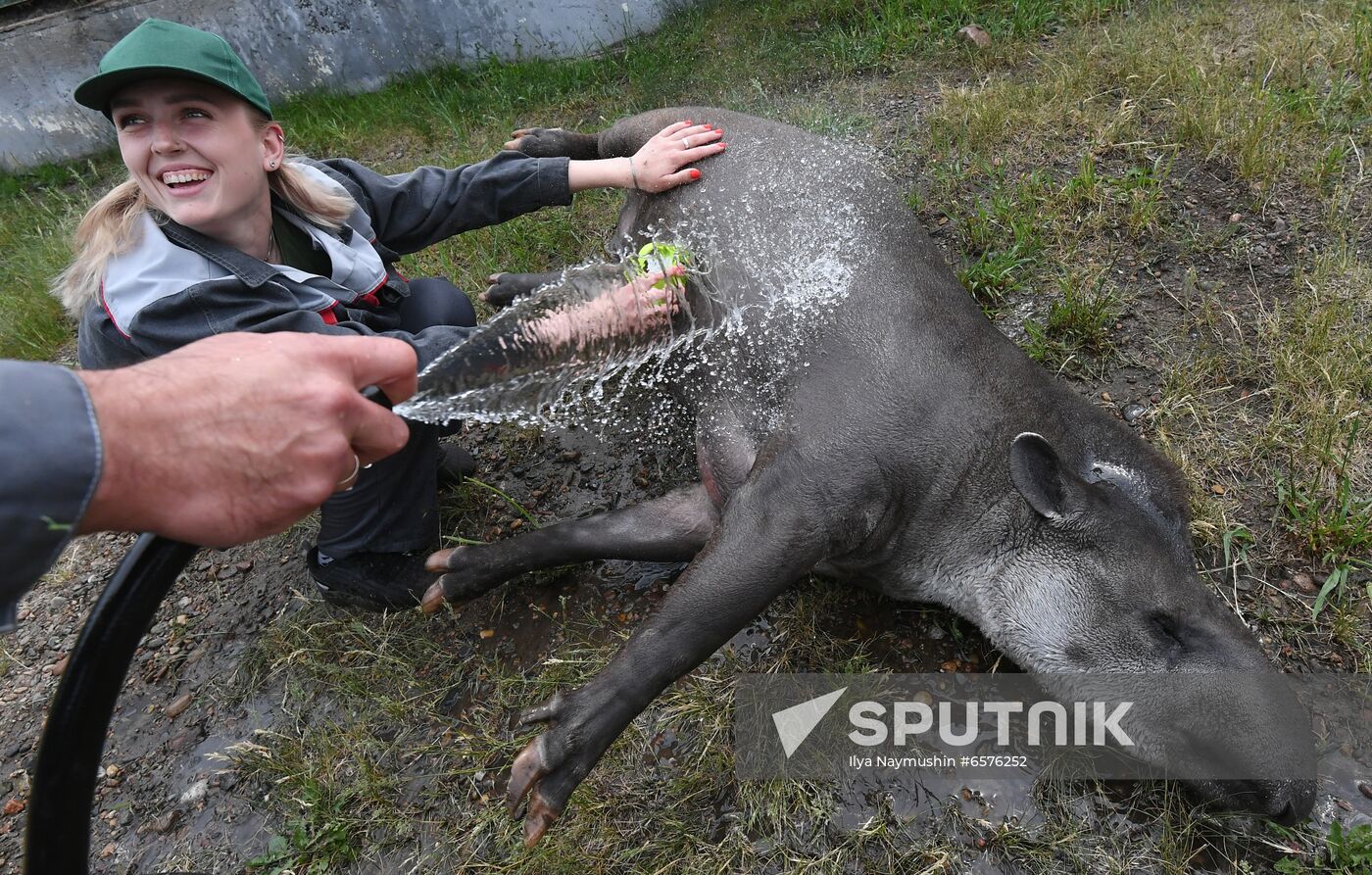 Russia Zoo