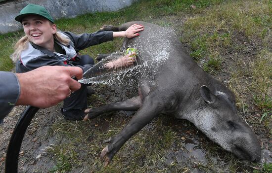 Russia Zoo