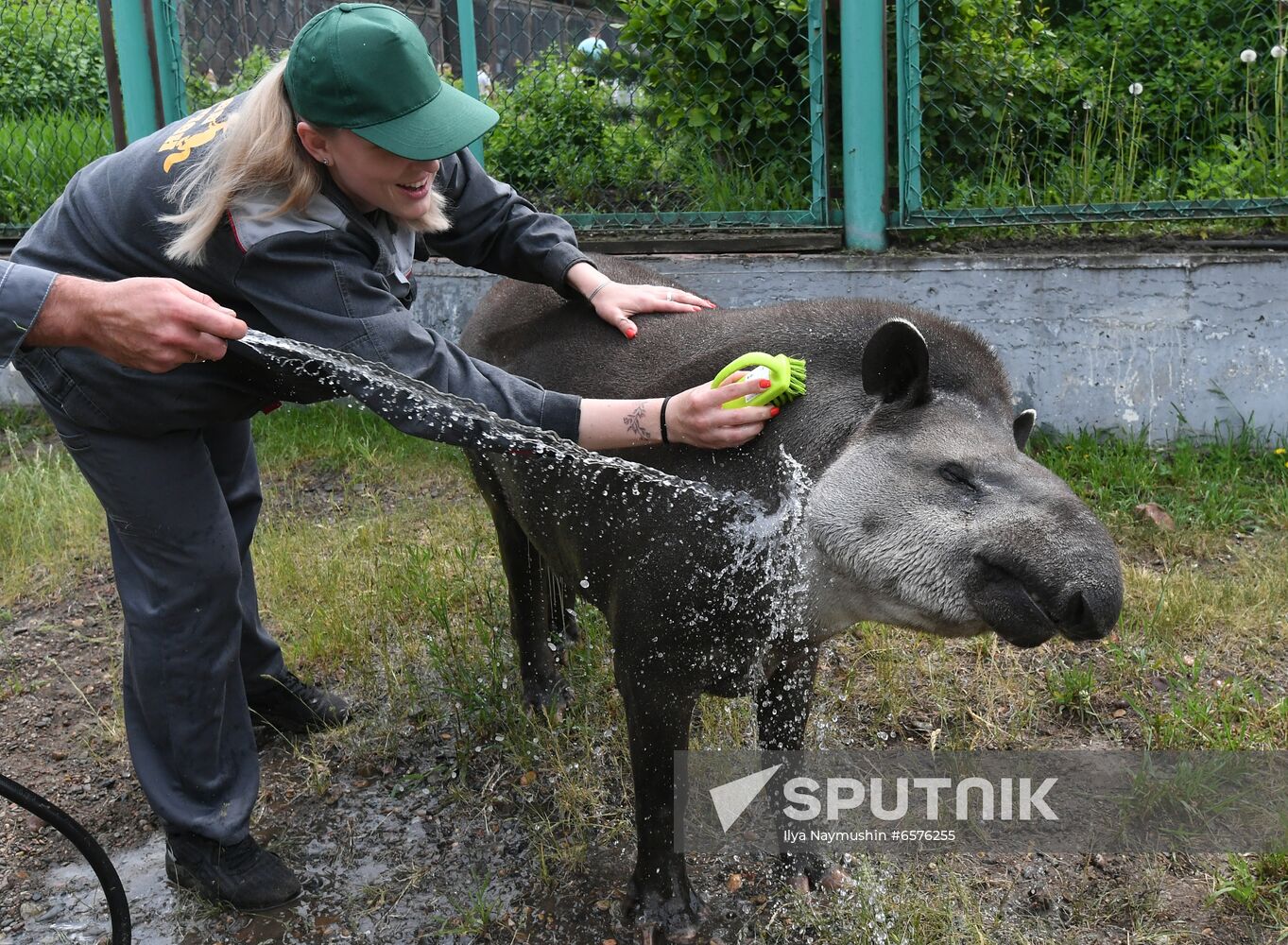 Russia Zoo