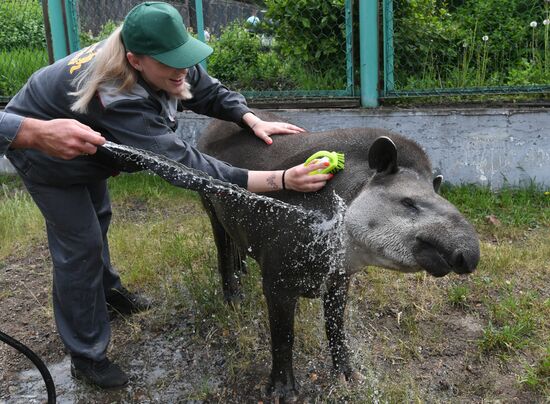 Russia Zoo