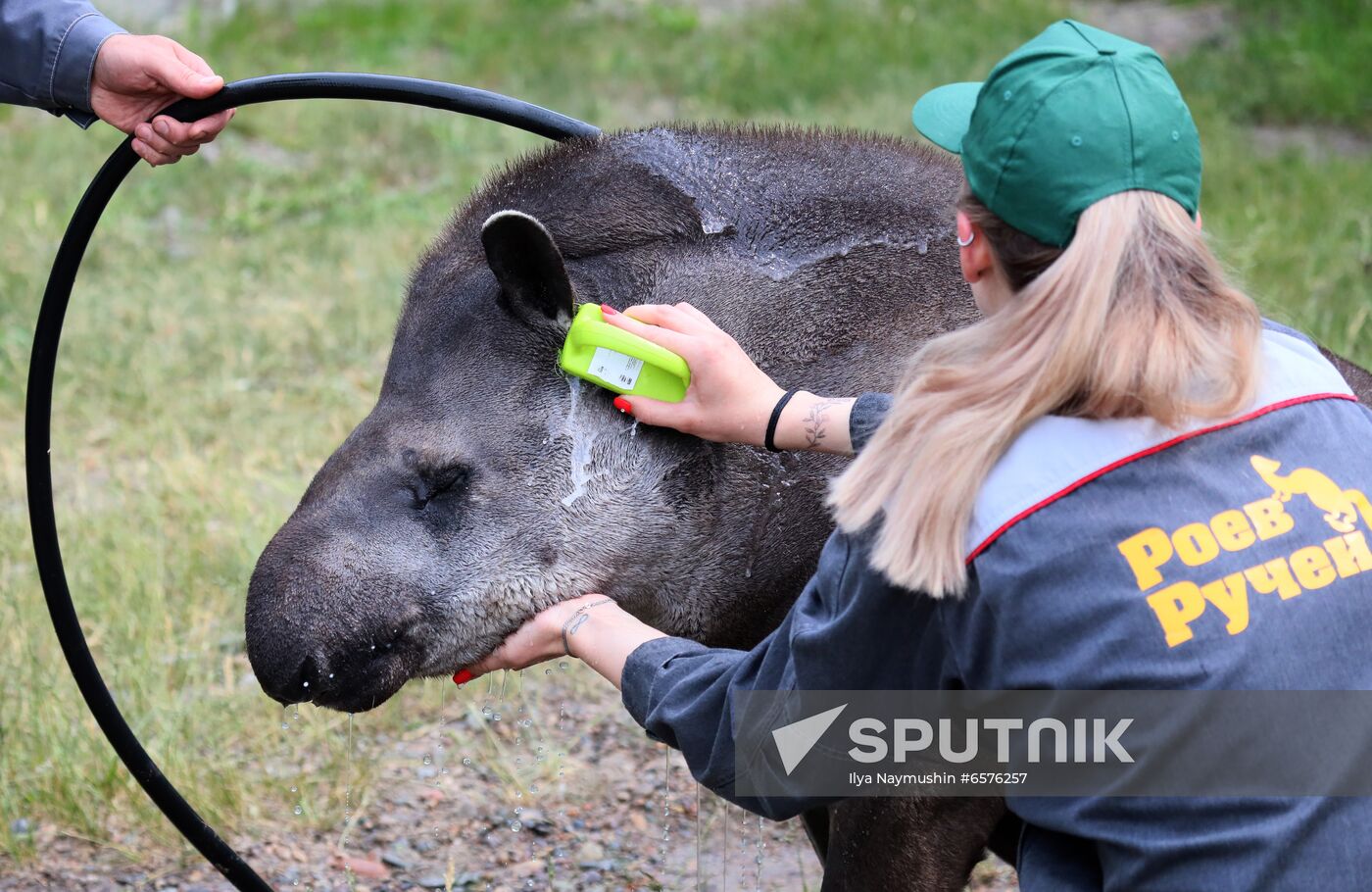 Russia Zoo