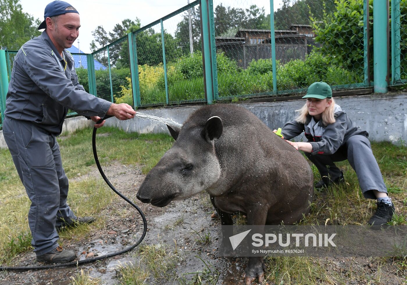 Russia Zoo