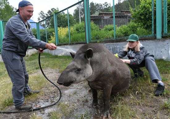 Russia Zoo