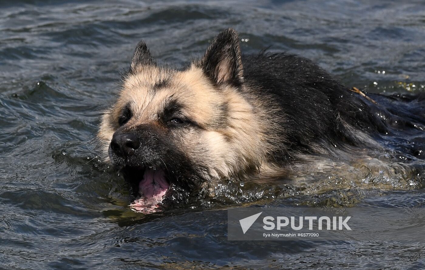 Russia Summer