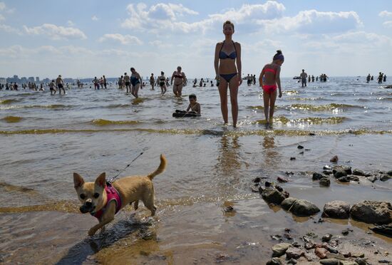 Russia Summer