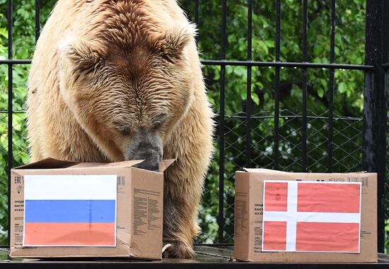 Russia Soccer Euro 2020 Animals Prediction