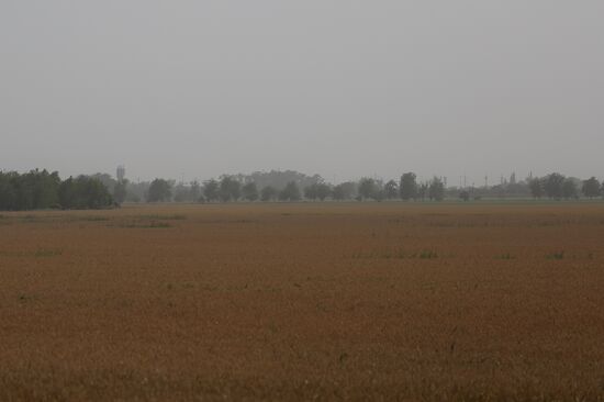 Russia Dust Storm