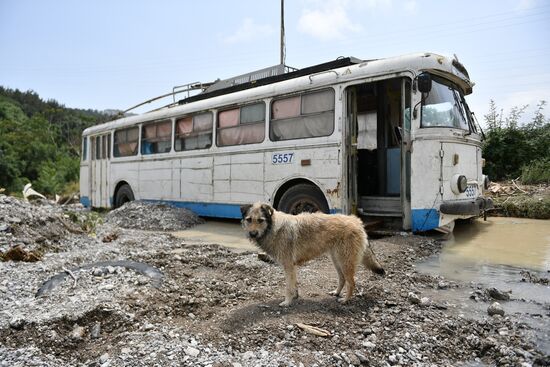 Russia Heavy Rains Aftermath