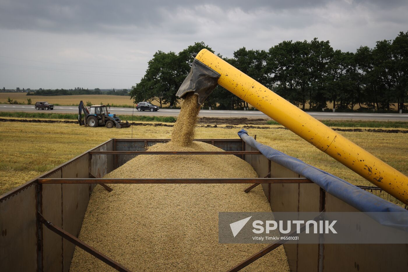 Russia Barley Harvest