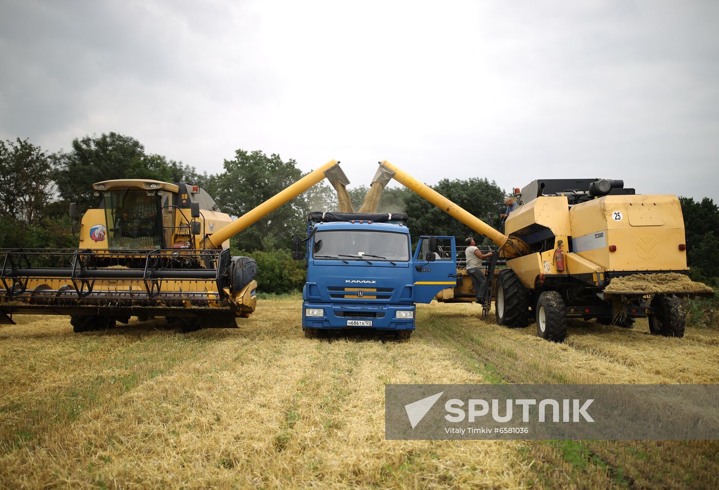 Russia Barley Harvest