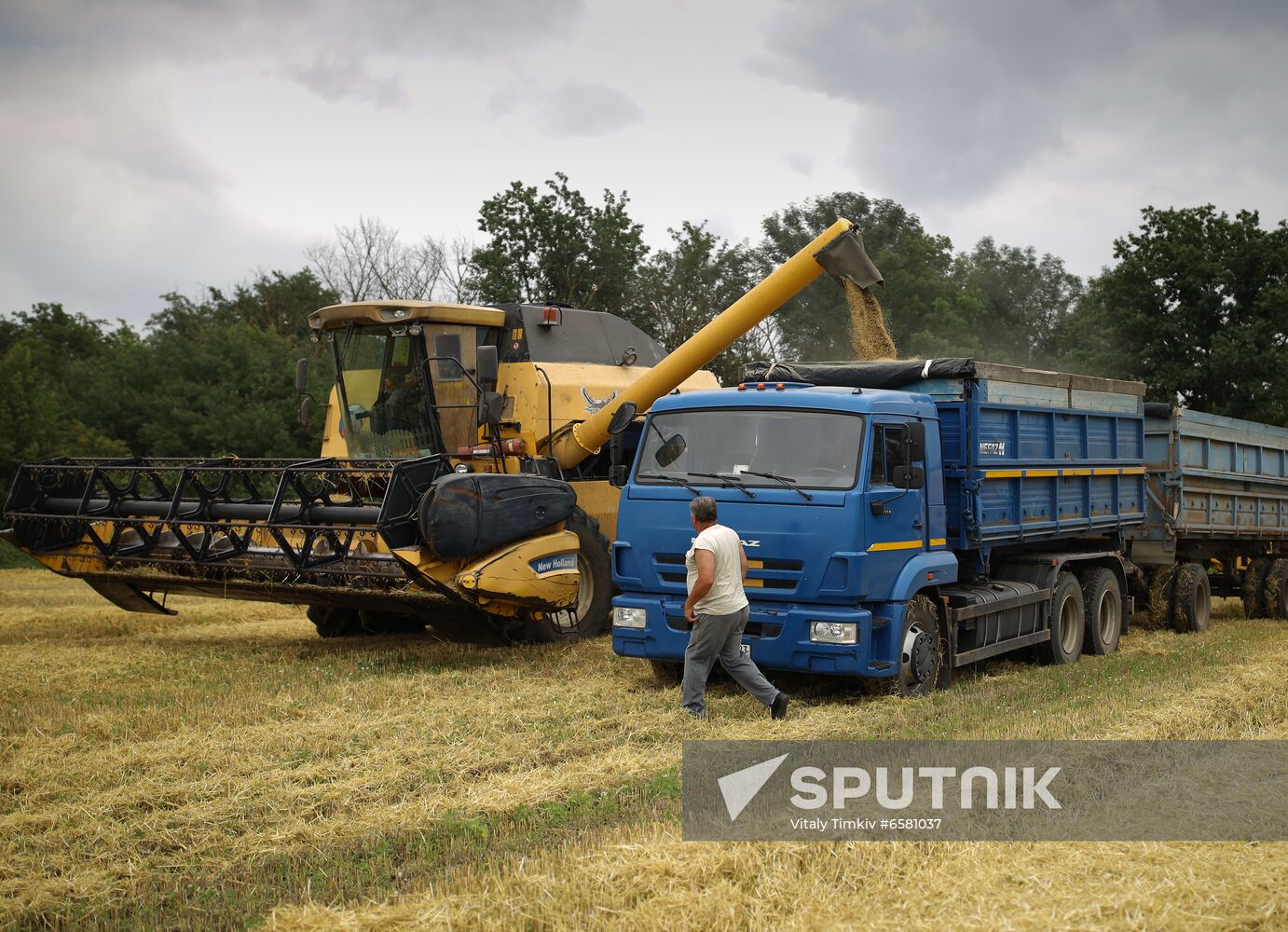 Russia Barley Harvest