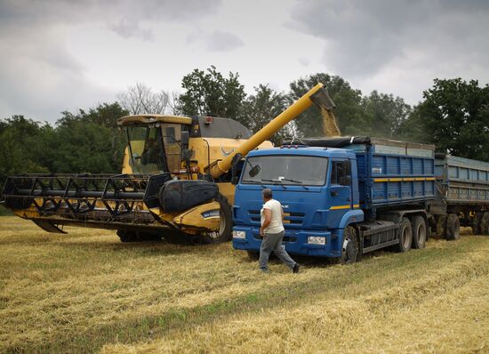 Russia Barley Harvest