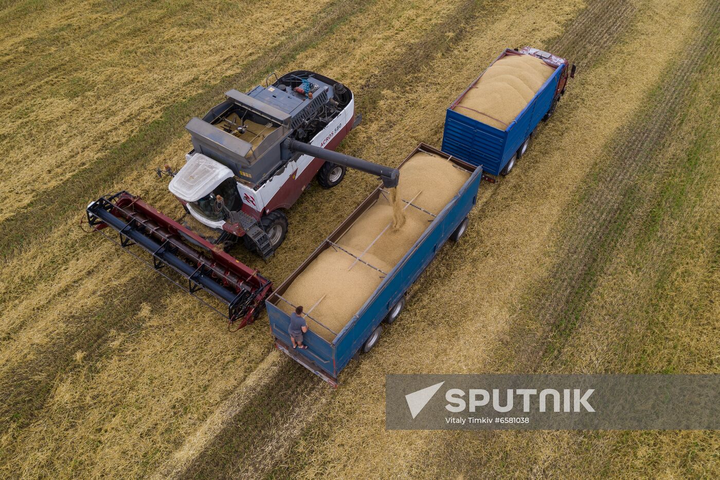Russia Barley Harvest