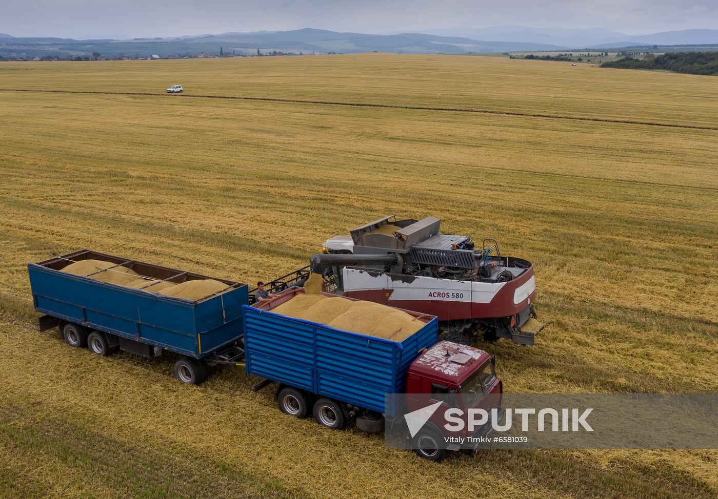 Russia Barley Harvest