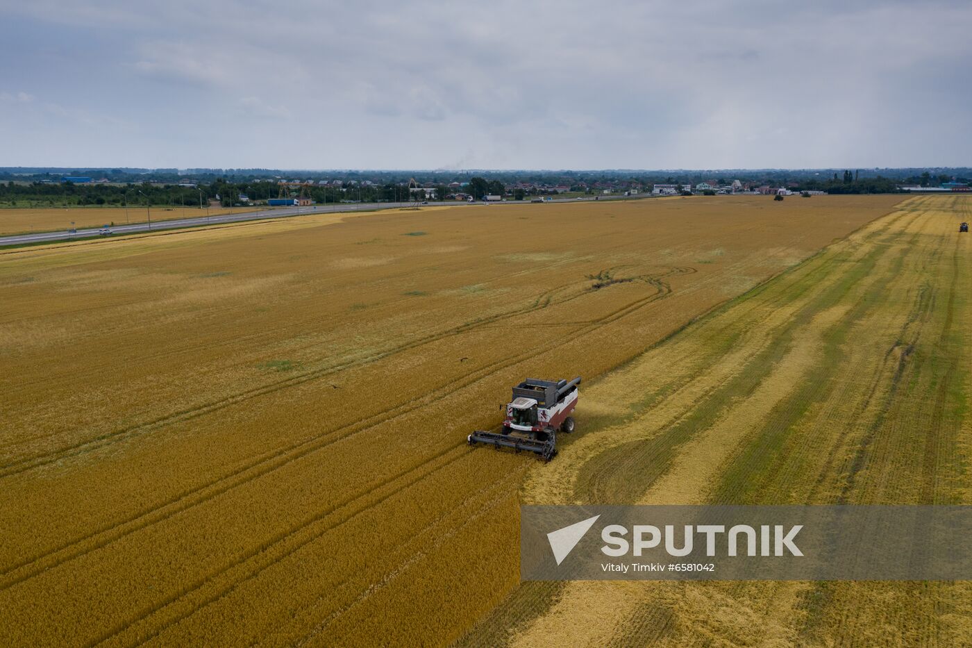 Russia Barley Harvest