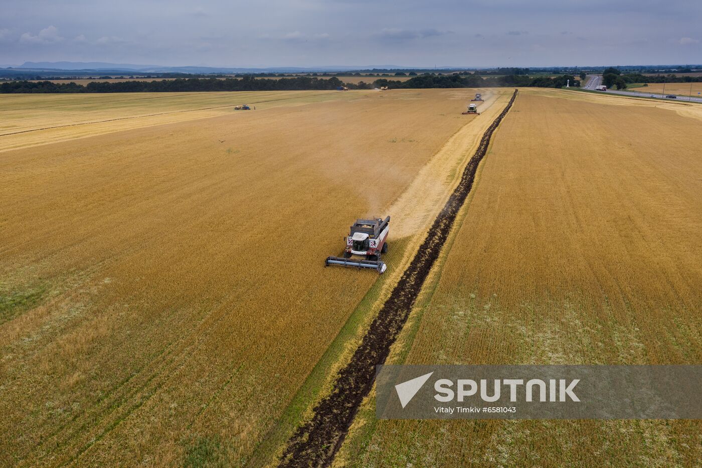 Russia Barley Harvest