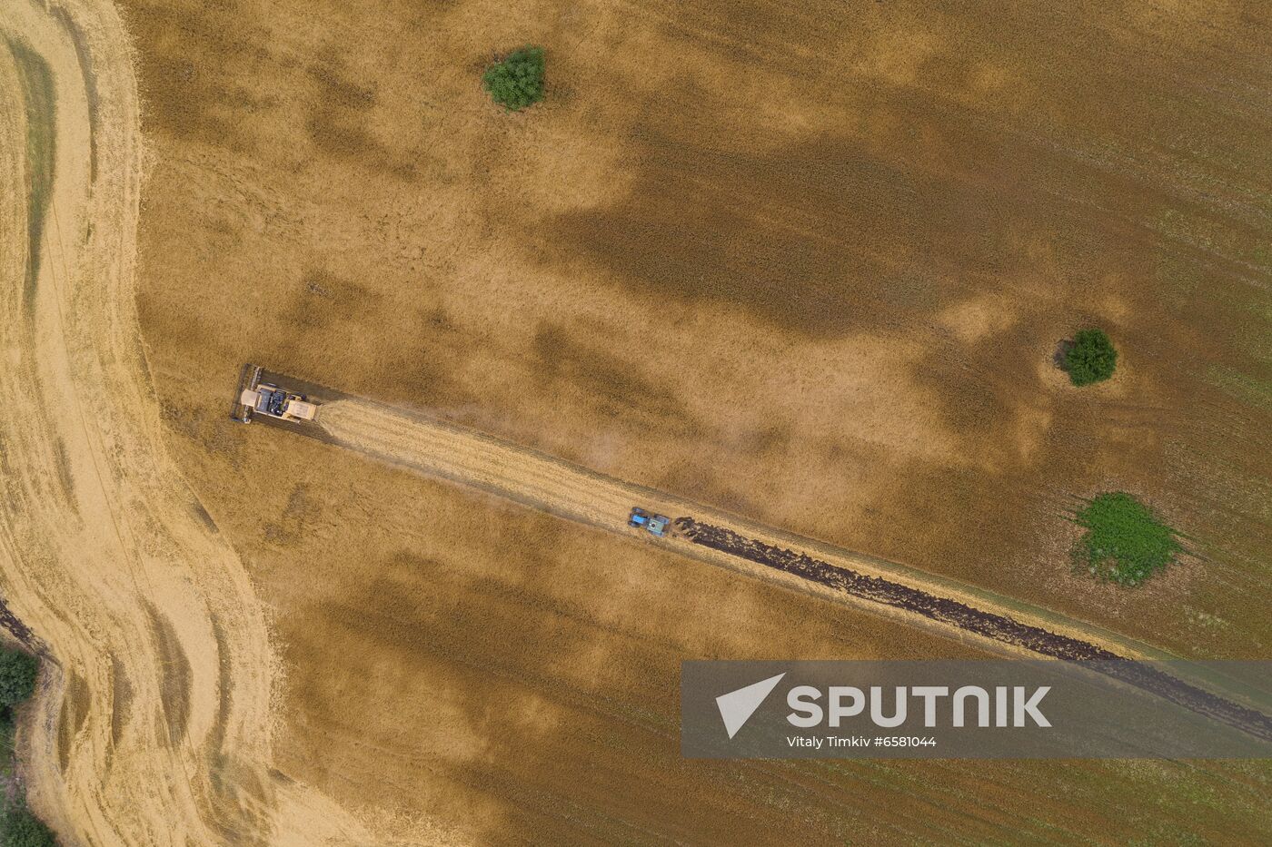 Russia Barley Harvest