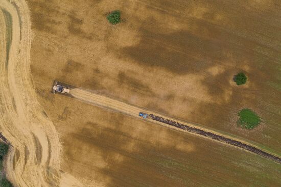 Russia Barley Harvest