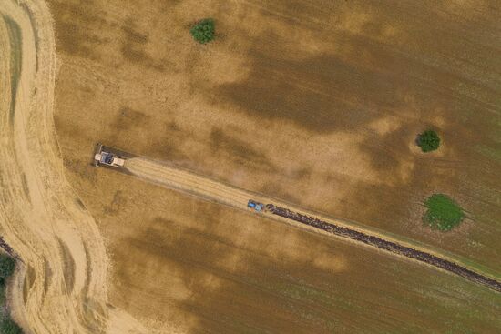 Russia Barley Harvest