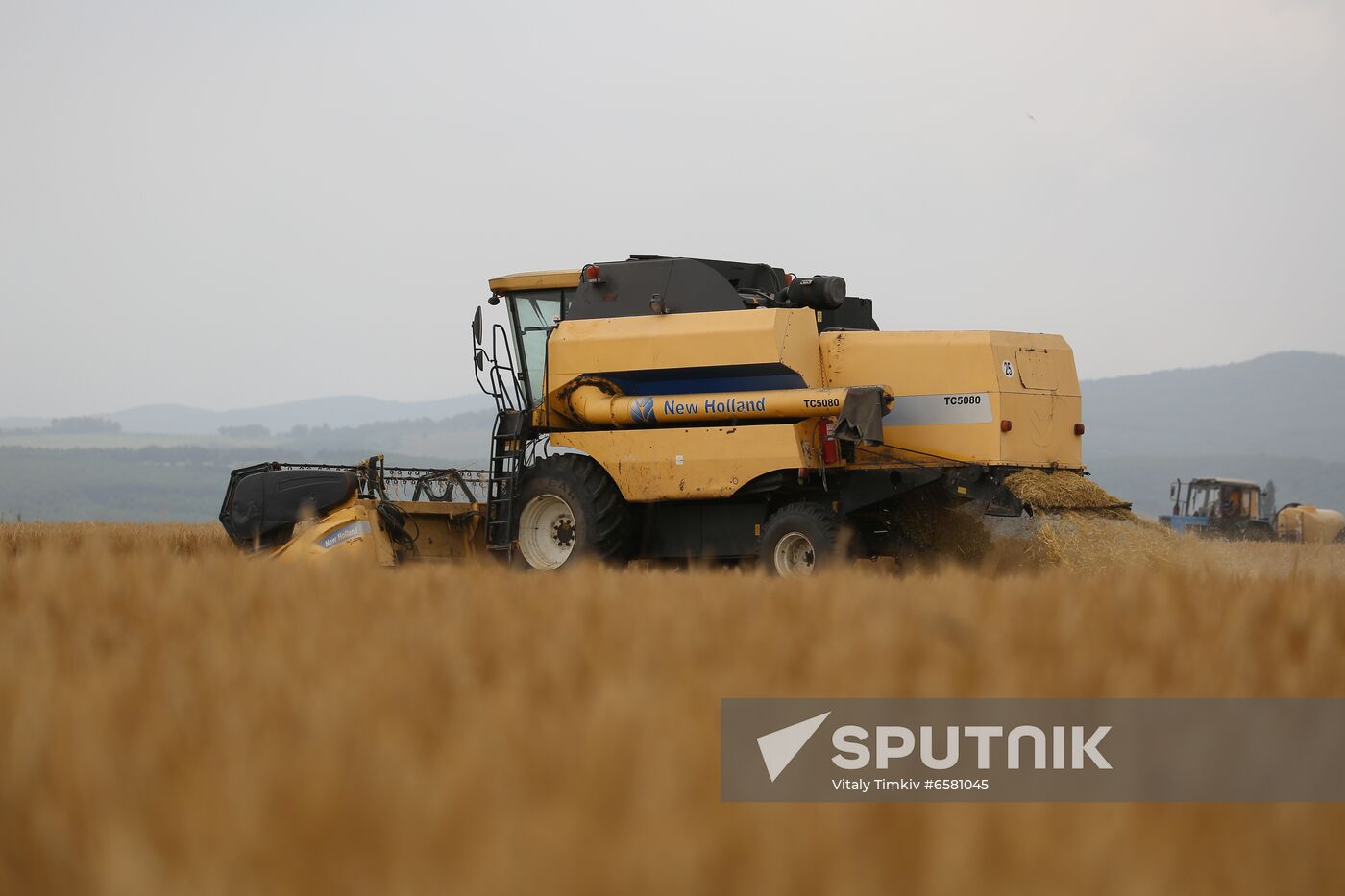 Russia Barley Harvest