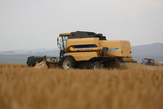 Russia Barley Harvest