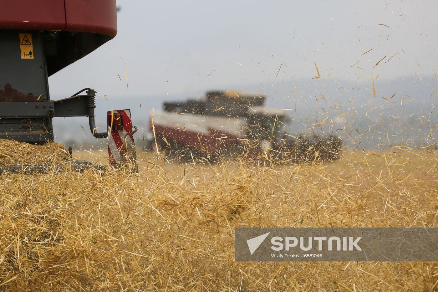 Russia Barley Harvest