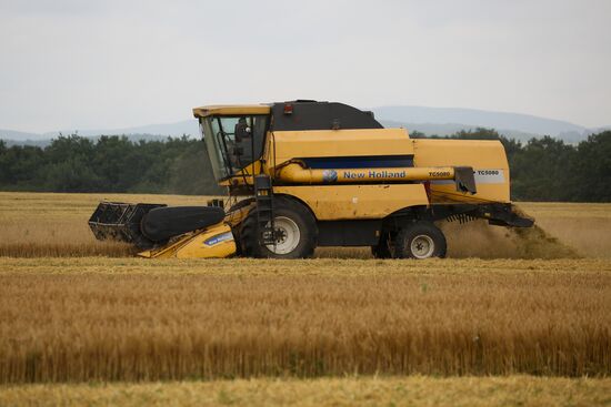 Russia Barley Harvest