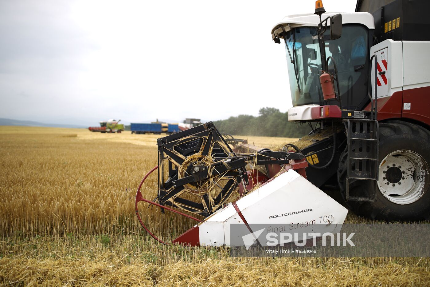 Russia Barley Harvest