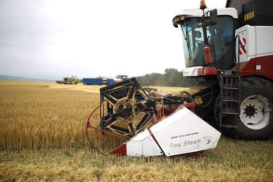 Russia Barley Harvest