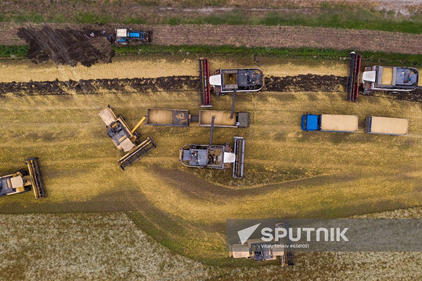 Russia Barley Harvest