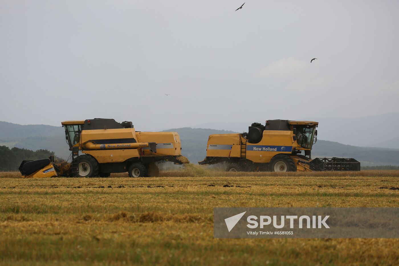 Russia Barley Harvest