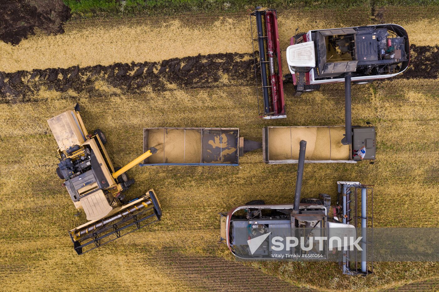 Russia Barley Harvest