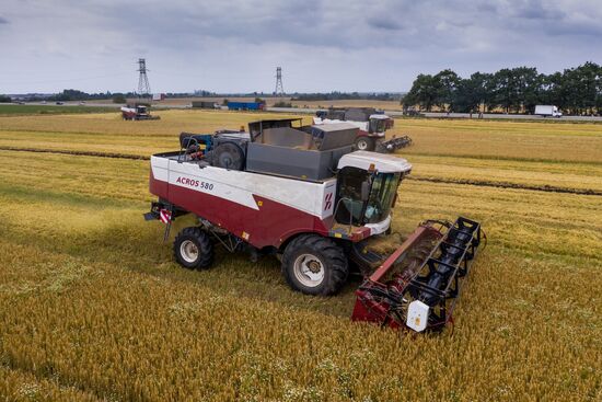 Russia Barley Harvest