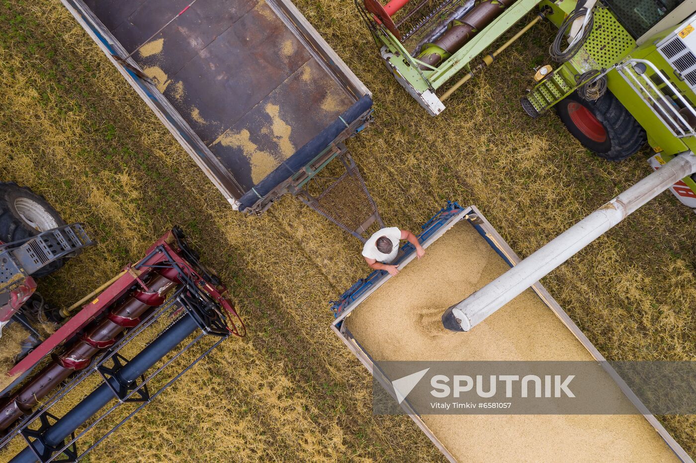 Russia Barley Harvest