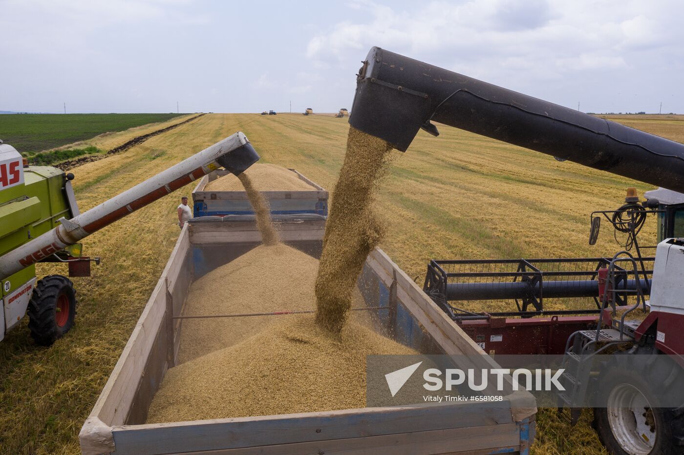 Russia Barley Harvest