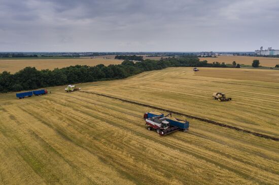 Russia Barley Harvest