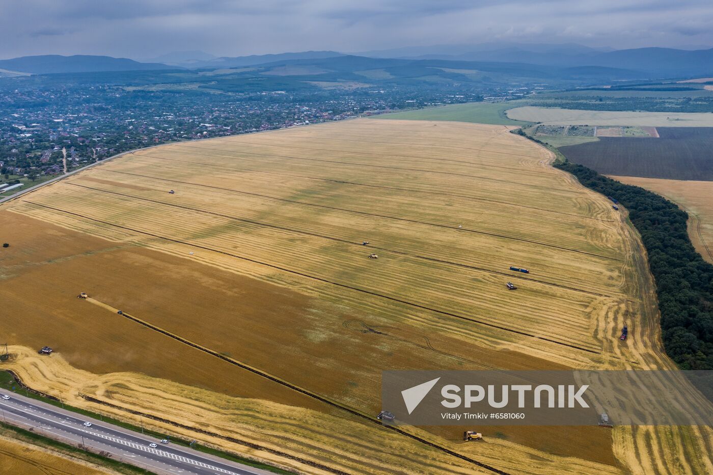 Russia Barley Harvest