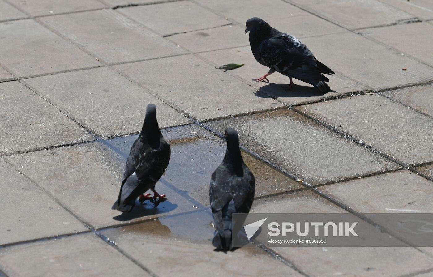 Russia Summer