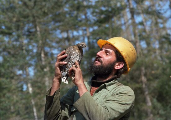 Soviet-Cuban timber procurement joint venture Cubales