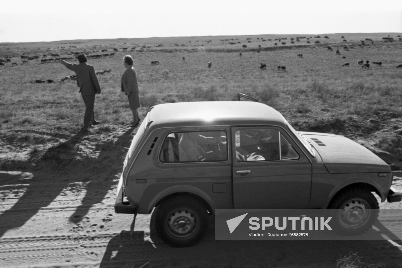 Astrakhan steppe