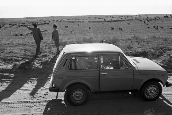 Astrakhan steppe